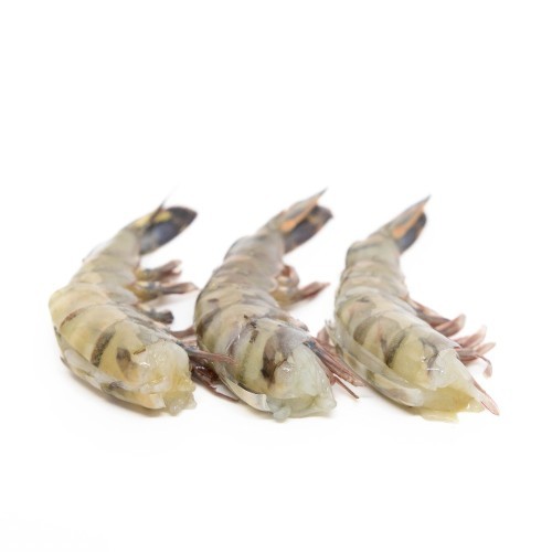 Scampi's BT 8/12 Easy Peel