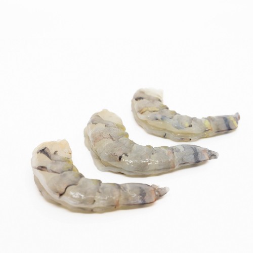 Scampi's BT 26/30 P&D
